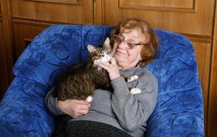 Im Einklang mit dem eigenwilligen Liebling: Katzenurin neutralisieren
